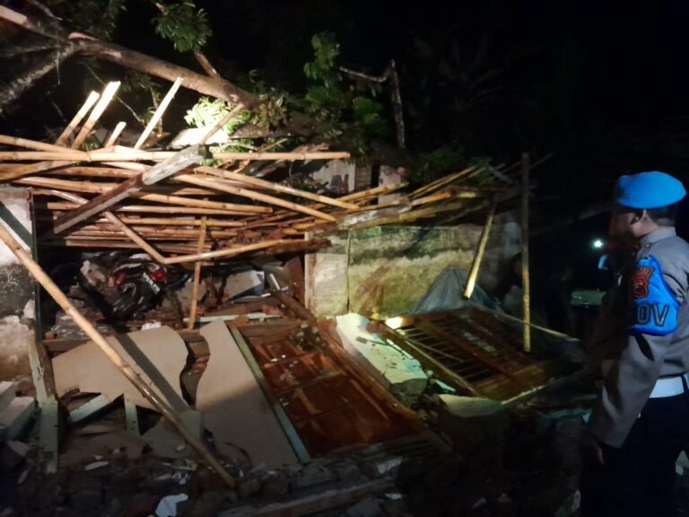 Satu Rumah Tertimpa Pohon Akibat Hujan Deras Disertai Angin Kencang