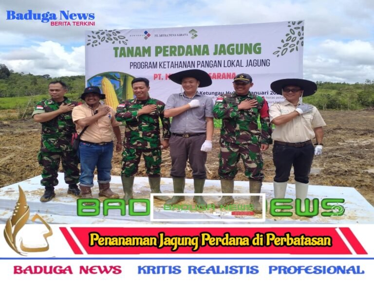 Kolaborasi Satgas Yonzipur 5/ABW Menuju Program Ketahanan Pangan Melalui Penanaman Jagung di Perbatasan
