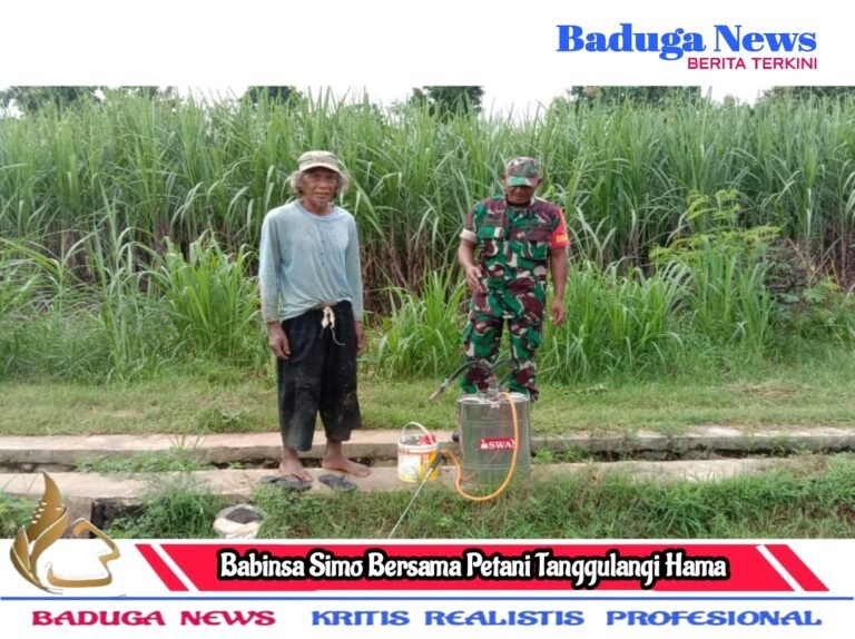 Upaya Babinsa Simo Bersama Petani Tanggulangi Hama