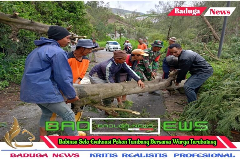 Babinsa Selo Evakuasi Pohon Tumbang Bersama Warga Tarubatang