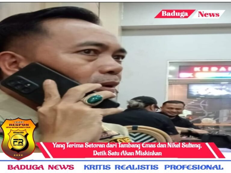 Yang Terima Setoran dari Tambang Emas dan Nikel Sulteng, Detik Satu Akan Miskinkan