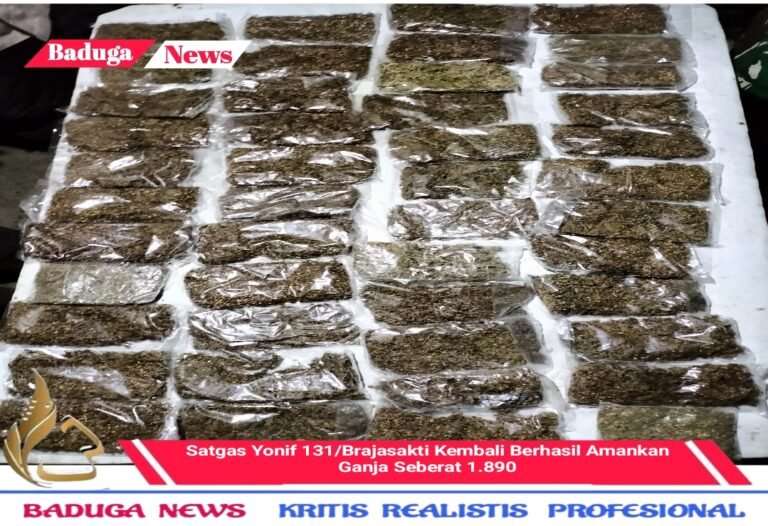 Satgas Yonif 131/Brajasakti Kembali Berhasil Amankan Ganja Seberat 1.890 gram di Perbatasan Papua